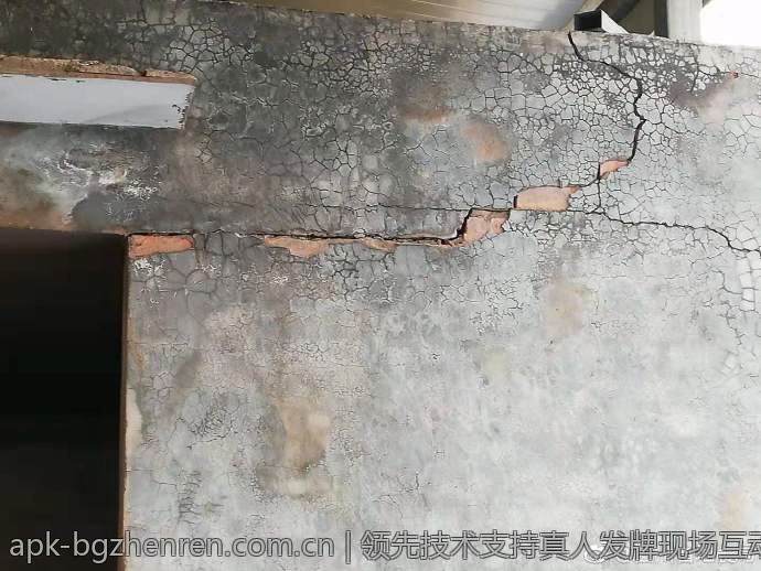 领先技术支持真人发牌现场互动快人一步