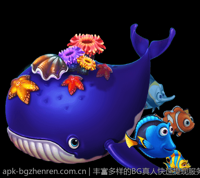 丰富多样的BG真人快速提现服务